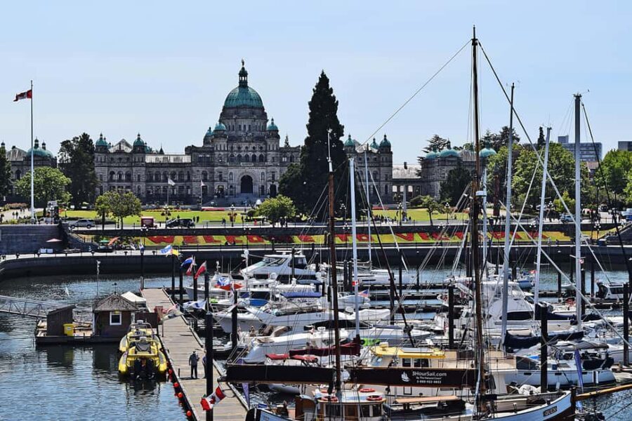 Pickle Pub Crawl: Ferry Rides and Appetizers - The Water Taxi Break (20 Minutes) That Makes the Tour Worth It