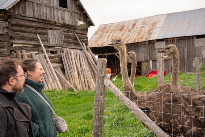 Pontiac Farm Tour - Day Trip From Ottawa & Gatineau - Key highlights to know before you go