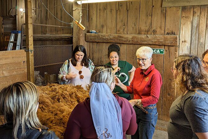 Pontiac Farm Tour - Day Trip From Ottawa & Gatineau - Price and value: what $85.89 really buys you
