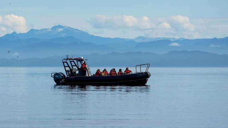 Port Hardy: Sea Otter and Whale Watching - The RHIB Ride (12 People Max): Comfort That Helps You Stay Focused