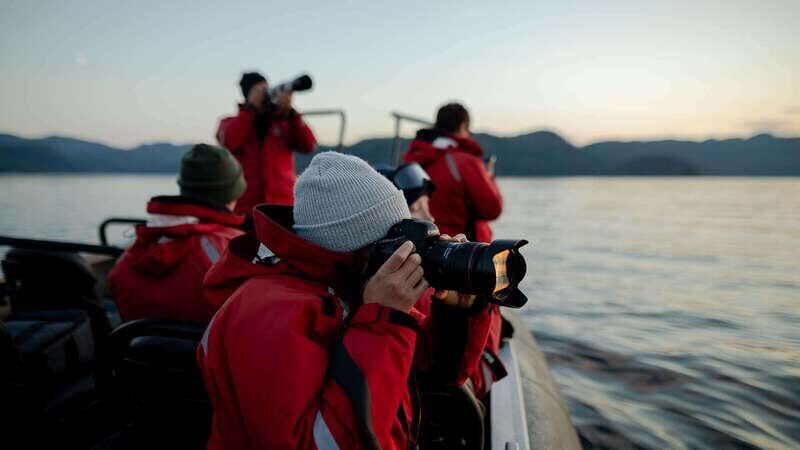 Port Hardy: Sea Otter and Whale Watching - Weather Reality: Fog and Motion Are Part of the Deal