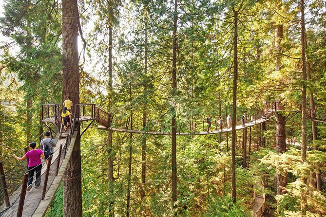 Post-Cruise Shore Excursion: Capilano Suspension Bridge & Grouse Mountain - Riding Over Lions Gate Bridge: Stanley Park Views and First Narrows Reality