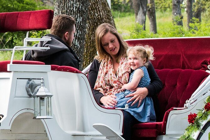 Premier Horse-Drawn Carriage Experience in Victoria - Beacon Hill Park to Ogden Point: the planned loop