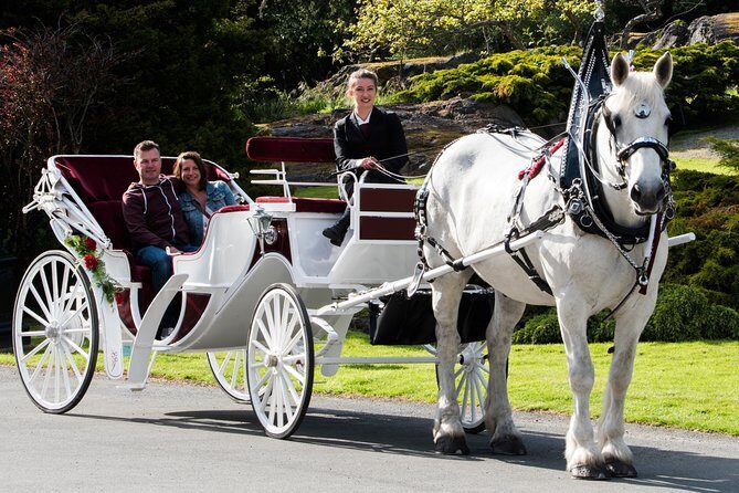 Premier Horse-Drawn Carriage Experience in Victoria - Group size and how to avoid a cramped ride