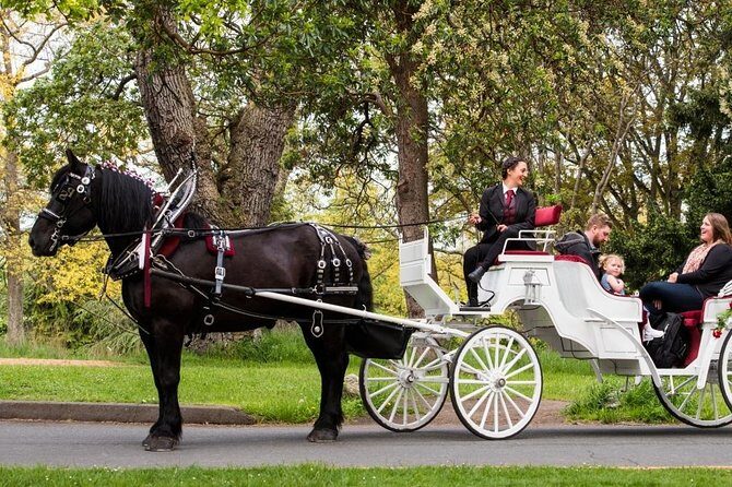Premier Horse-Drawn Carriage Experience in Victoria - Price and value: what you’re really paying for