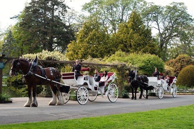 Premier Horse-Drawn Carriage Experience in Victoria - Who this carriage ride suits best