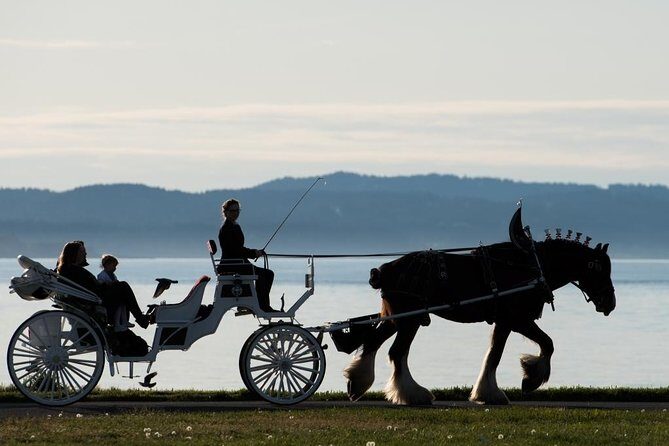 Premier Horse-Drawn Carriage Experience in Victoria - How the guide shapes your Victoria route (and your pace)