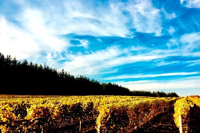Premium Fraser Valley and White Rock Private Wine Tour - Key highlights at a glance