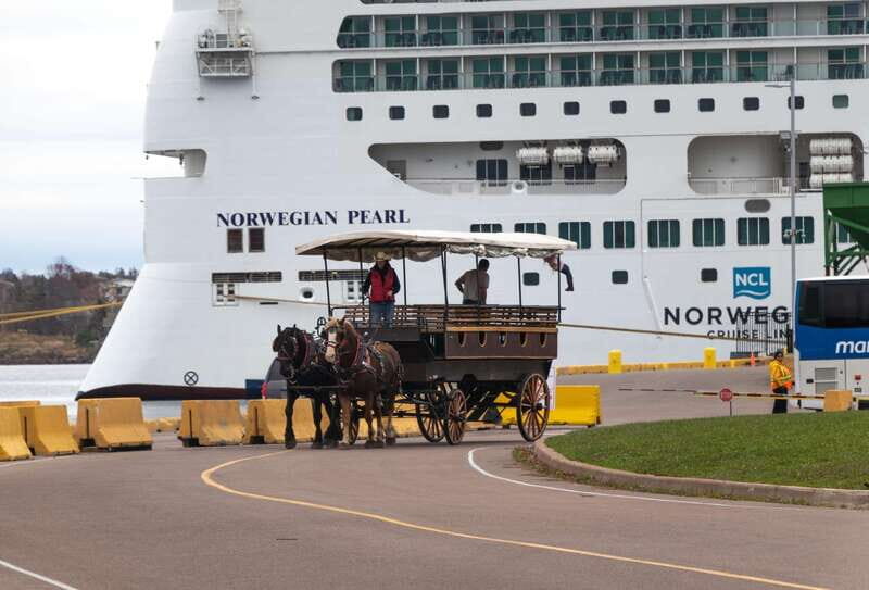 Prince Edward Island: Horse-Drawn Carriage Tour - Charlottetown by Horse-Drawn Carriage: What the 40-Minute Tour Really Delivers