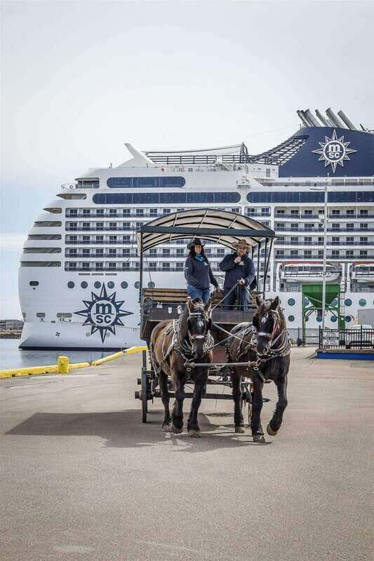 Prince Edward Island: Horse-Drawn Carriage Tour - Province House and Historic Downtown: The Main Sights You Pass