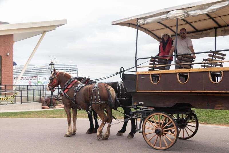 Prince Edward Island: Horse-Drawn Carriage Tour - Horse Time: Photos, Sounds, and Gentle Interaction