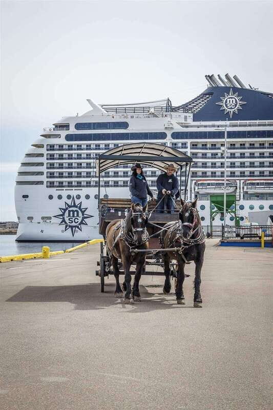 Prince Edward Island: Horse-Drawn Carriage Tour - Price and Value: Does $23 per Person Make Sense?