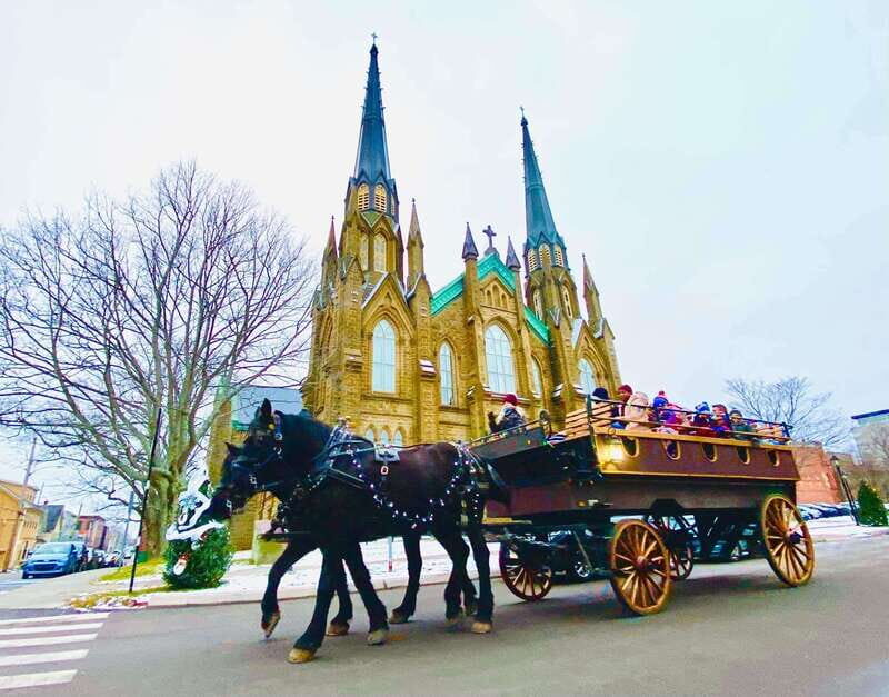 Prince Edward Island: Horse-Drawn Carriage Tour - Comfort and Practical Tips: Weather, Seating, and Getting a View