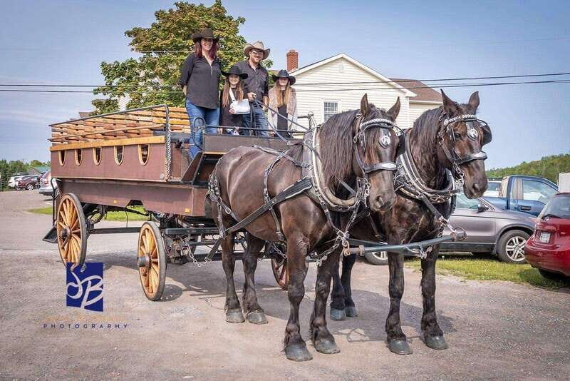 Prince Edward Island: Horse-Drawn Carriage Tour - Founders Hall Meeting Point: Easy Start for a Quick City Loop