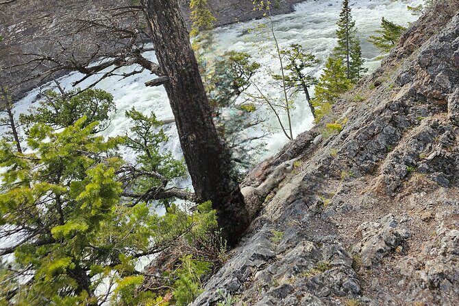Private Banff Tours - Stop 3: Banff Avenue gives you the real-town feel