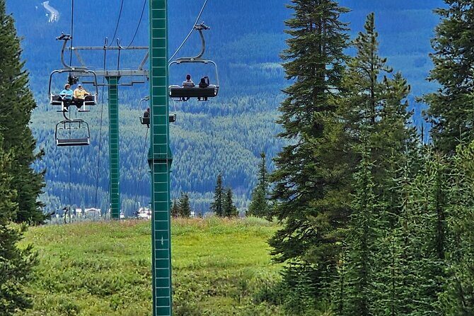 Private Banff Tours - Stop 4: Banff Gondola is the big-ticket view (tickets extra)