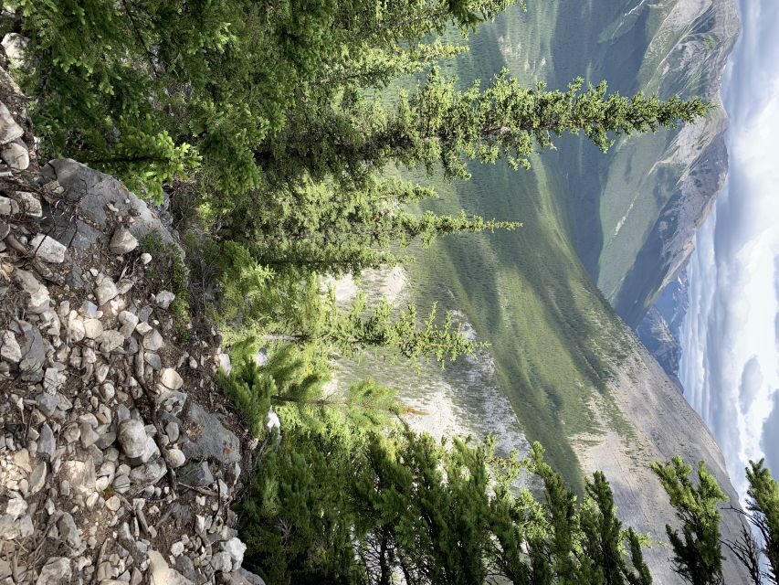 PRIVATE: Bear Country Hiking Tour - 4H Adventure - Should you book this tour? My straight advice