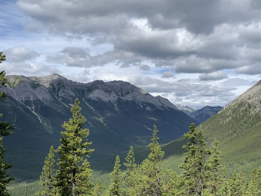 PRIVATE: Bear Country Hiking Tour - 4H Adventure - Price and value: $360 per group up to 7