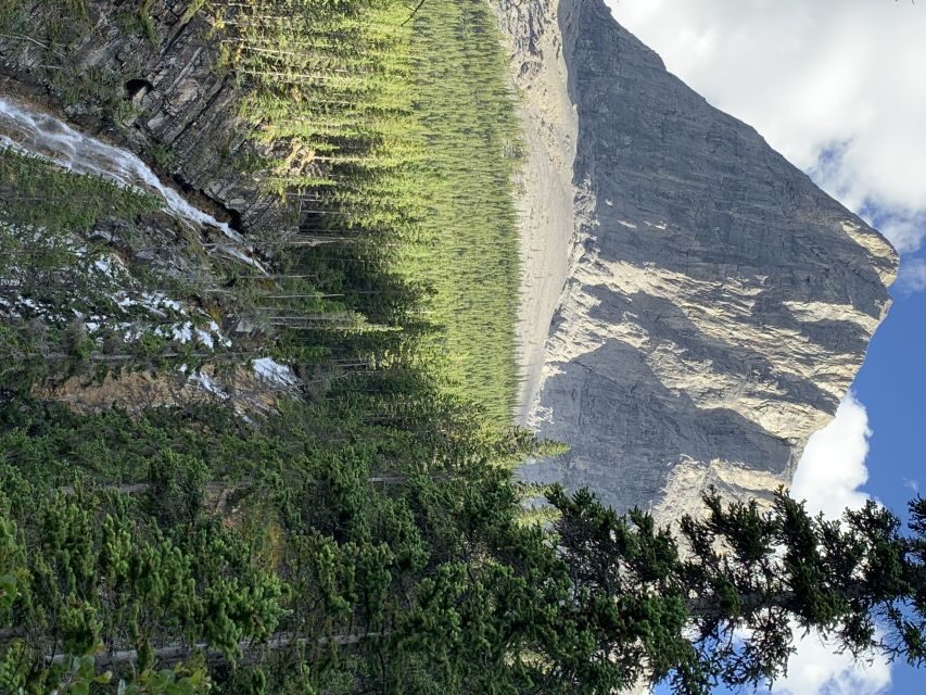 PRIVATE: Bear Country Hiking Tour - 4H Adventure - Who this Bear Country Hiking Tour is best for