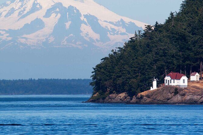 Private Boat Charter Explore Southern Gulf Islands Tour - Private charter vs. packed tour: what you’re really buying
