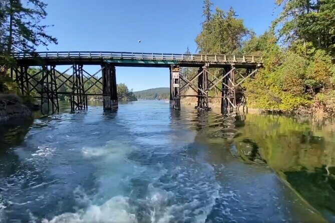 Private Boat Charter Explore Southern Gulf Islands Tour - For families, teams, and special moments