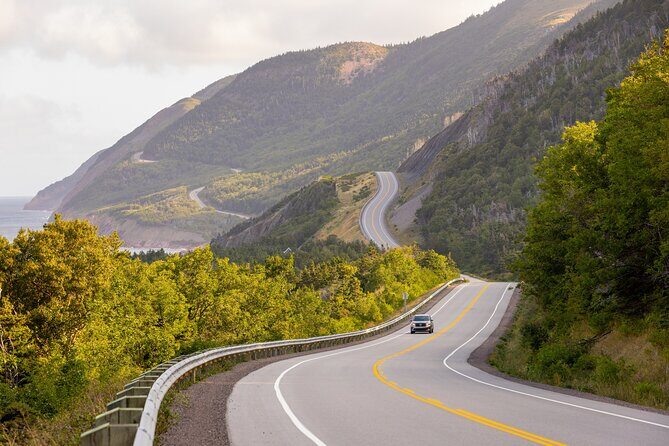Private Cruise Excursion in Cape Breton - Price, Group Size, and When This Feels Like a Smart Deal
