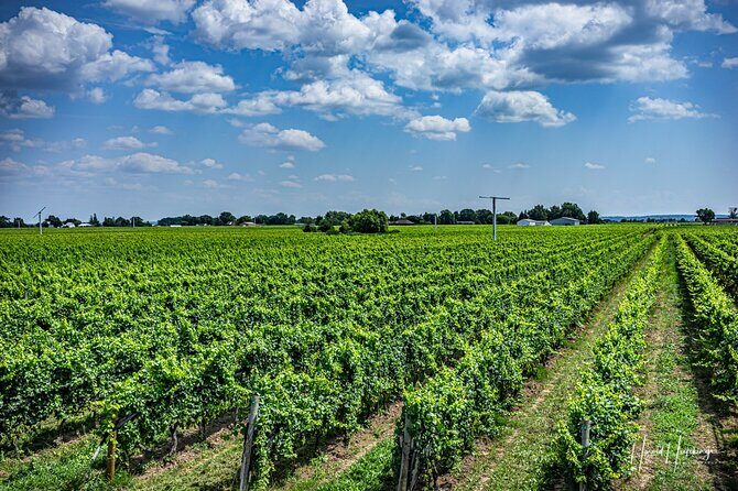 Private Customizable Scenic Niagara Boutique-Winery Day Tour - How the day flows: flexible stops with a Heritage District warm-up