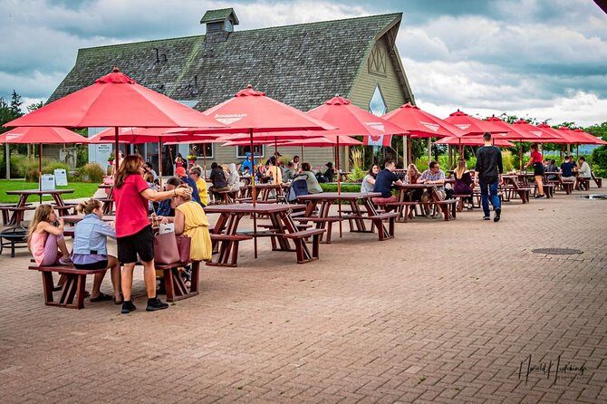 Private Customizable Scenic Niagara Falls Day Trip/Tour/Adventure - Should You Book This Niagara Falls Private Day Trip?