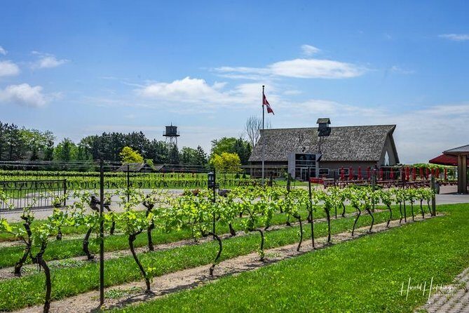 Private Customizable Wine-Tasting Adventure/Day Tour Niagara - Up to Five Wineries: How to Choose When Options Change