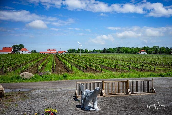 Private Customizable Wine-Tasting Adventure/Day Tour Niagara - What You’ll See at Each Step of the Journey