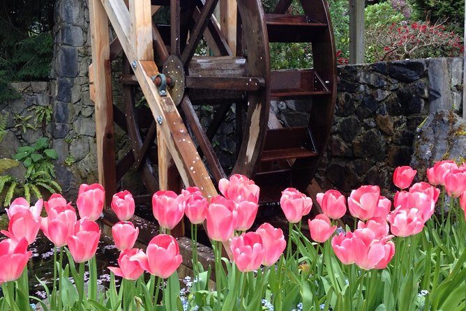 Private Deluxe Tour of Victoria & to Butchart Gardens (5 hrs) - Why a 5-Hour Victoria + Butchart Gardens Plan Works