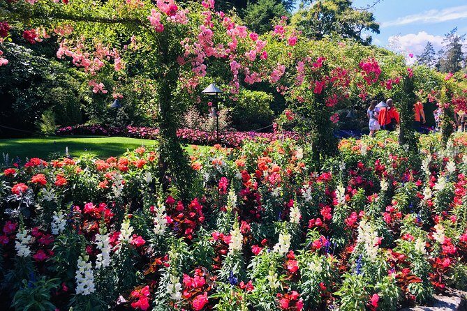 Private Deluxe Tour of Victoria & to Butchart Gardens (5 hrs) - Price and Value: What CA$510.40 Really Means