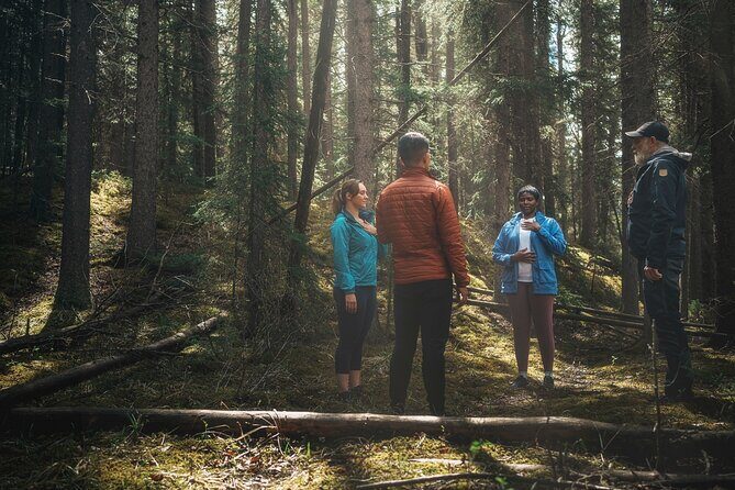 Private Forest Bathing Experience Connect with Nature - Key highlights at a glance