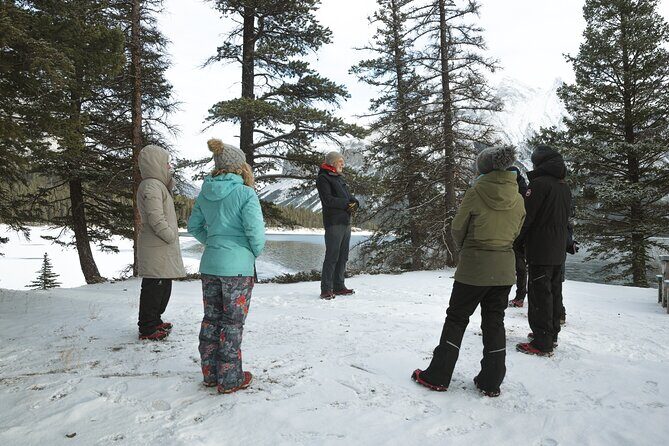Private Forest Bathing Experience Connect with Nature - Who should book this private forest bathing session