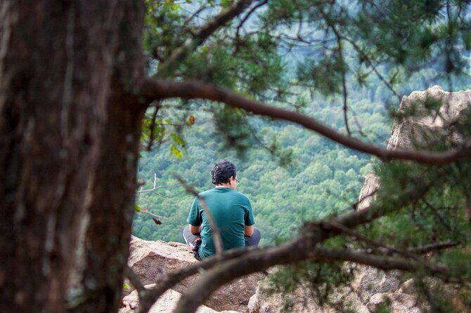 Private Forest Bathing Experience Connect with Nature - The 2.5-hour flow: what you’ll actually do