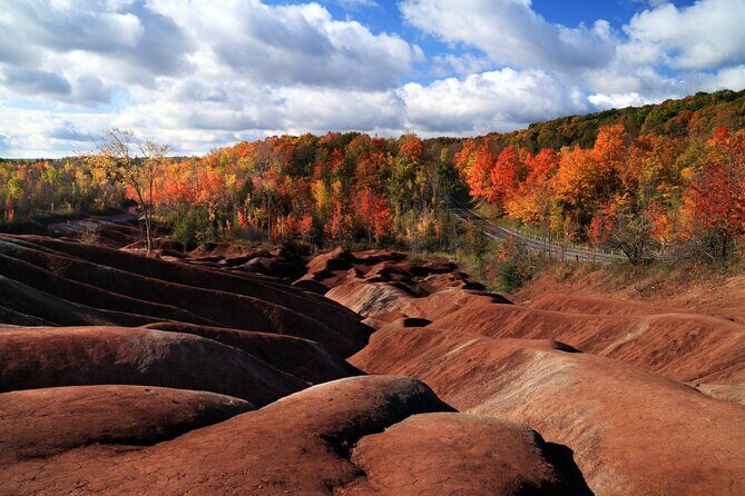 Private Greater Toronto DriveSpa Tour with Lunch - Key highlights that make this tour worth your time