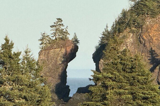 Private Guided Fundy Tour in Saint John - Why This Tour Feels Like It’s Built Around the Tide