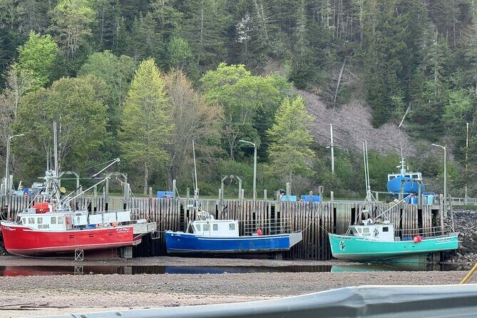Private Guided Fundy Tour in Saint John - Reversing Falls Twice: The Part That Actually Changes Every Few Hours