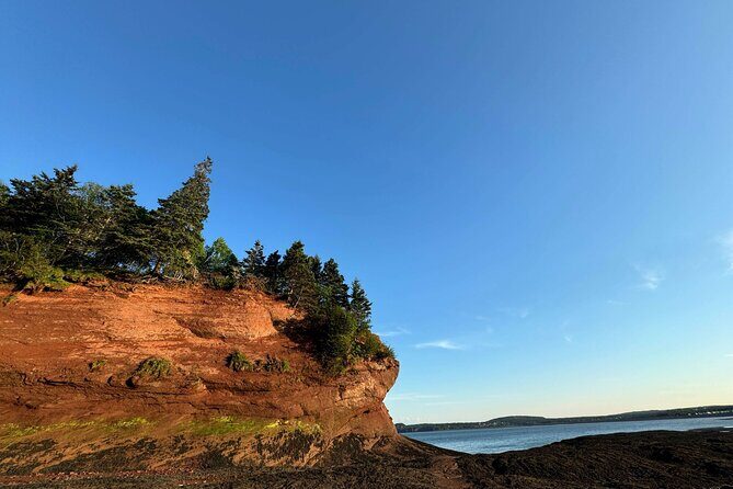 Private Guided Fundy Tour in Saint John - Food, Timing, and What’s Actually Included