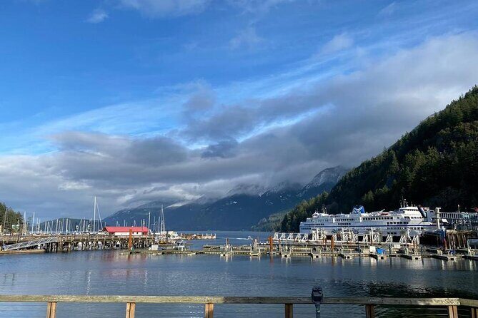 Private Guided Grand City Tour in Vancouver with your luggage - Capilano Suspension Bridge Park: optional, and worth it only if the day is good