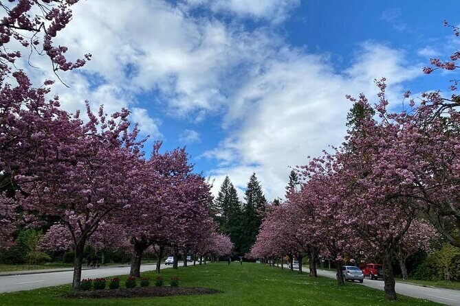 Private Guided Grand City Tour in Vancouver with your luggage - The Shipyards and Lonsdale Quay: a quick walk that pays off