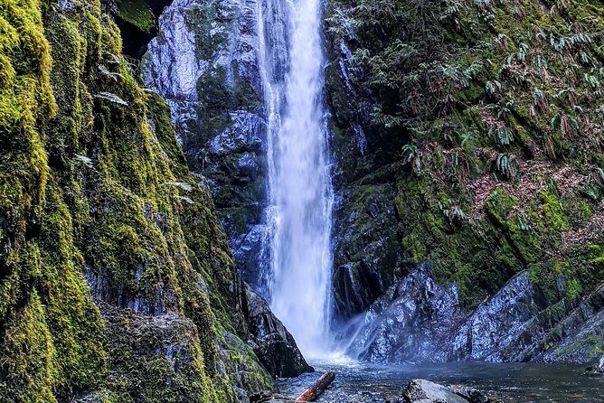 Private Guided Rainforest Hike in Victoria - Pickup and transport: the underrated part of value