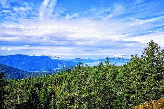 Private Guided Rainforest Hike in Victoria - What to wear (because the rainforest is not the problem—you are)