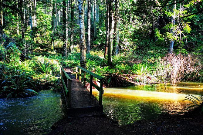 Private Guided Rainforest Hike in Victoria - Value for $82.57: what you’re really buying