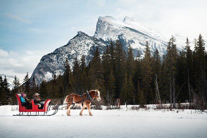 Private Horse-Drawn Sleigh Ride In Banff - Key Things You Should Know Before You Go