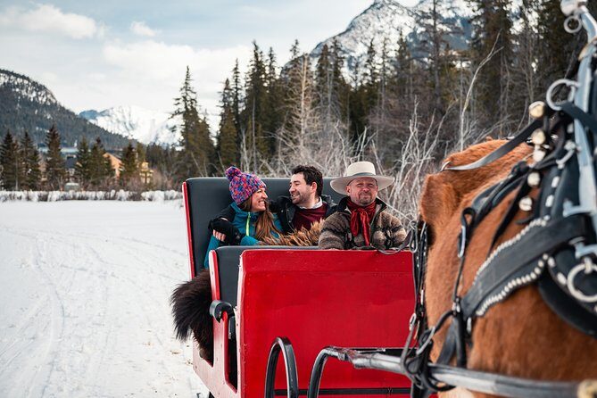 Private Horse-Drawn Sleigh Ride In Banff - The 40-Minute Ride Through Mountain Meadows