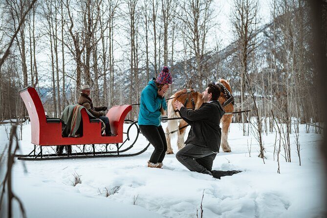 Private Horse-Drawn Sleigh Ride In Banff - What You’ll See: Mount Rundle and Mount Norquay in Winter Light