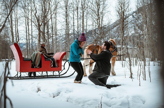 Private Horse-Drawn Sleigh Ride In Banff - Weather, Age Rules, and Who This Is Best For