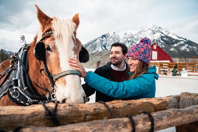 Private Horse-Drawn Sleigh Ride In Banff - Meet at the Stables and Plan a 15-Minute Arrive-Early Buffer