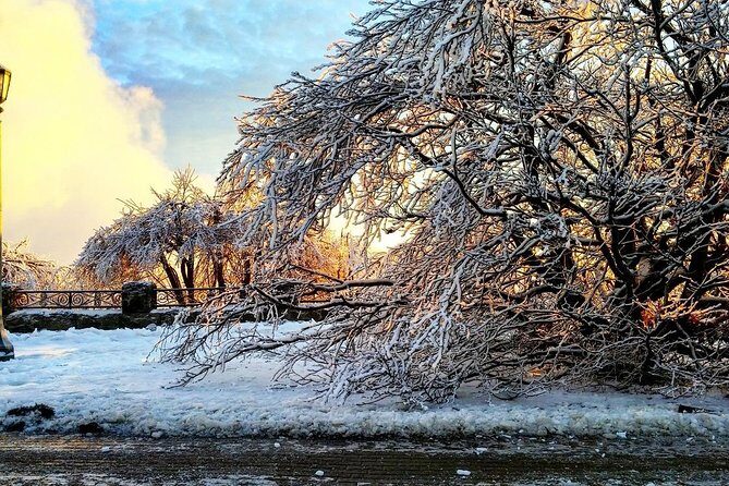 Private Niagara Ice Wine Tour - Customizing Stops on the Niagara Wine Trail
